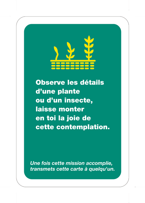 Antidote - 52 cartes pour vivre et partager la foi au quotidien
