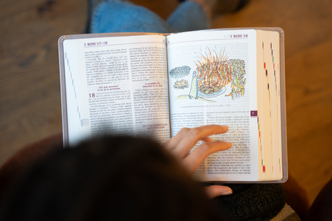 La Bible Parole de Vie illustrée - Version catholique
