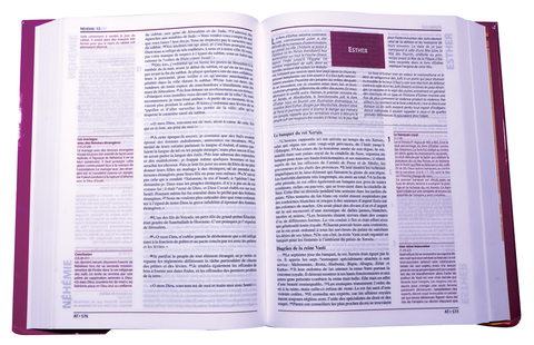 La Bible expliquée version catholique