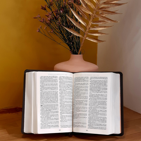 La Bible Nouvelle Français courant - version luxe grise