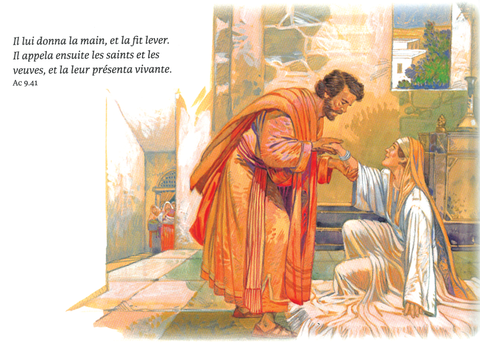 Bible Segond 1910 illustrée en couleur