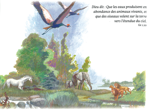 Bible Segond 1910 illustrée en couleur