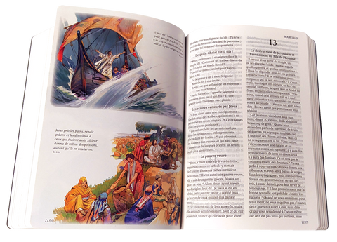 Bible Segond 1910 illustrée en couleur