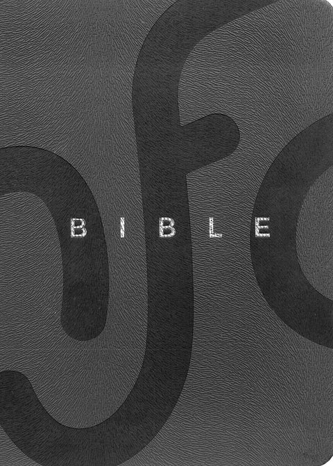 La Bible Nouvelle Français courant - version luxe grise