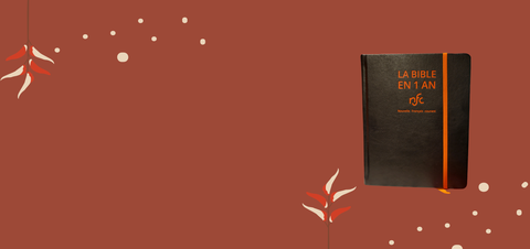 Lire la Bible en 1 an