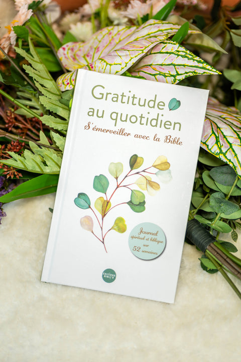 Gratitude au quotidien ! S’émerveiller avec la Bible