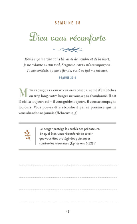 Gratitude au quotidien ! S’émerveiller avec la Bible