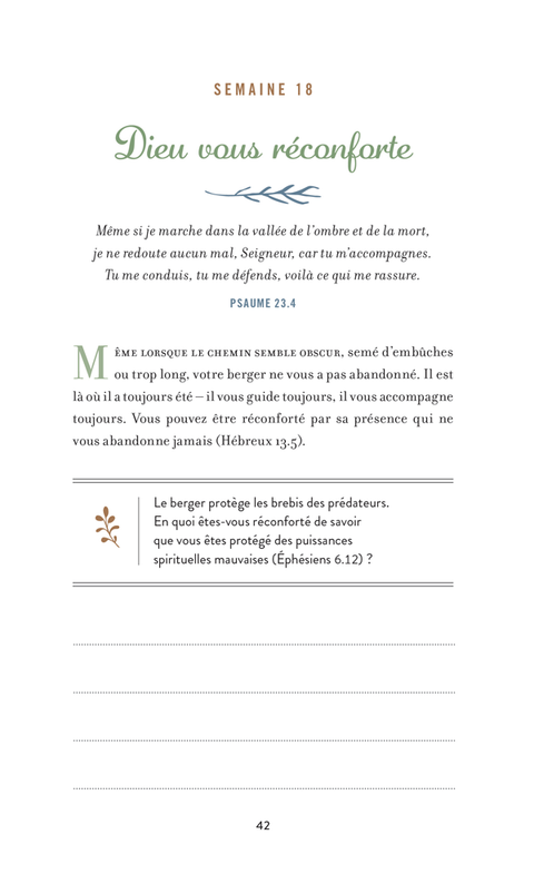 Gratitude au quotidien ! S’émerveiller avec la Bible