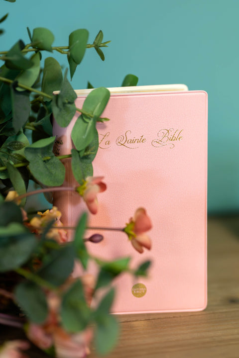 La Sainte Bible - Segond 1910 - Édition compacte - Rose. D'après les originaux hébreux et grecs