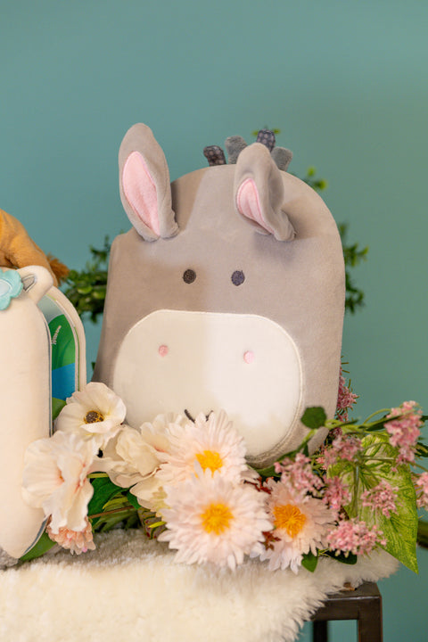 Petit âne -  Livre peluche