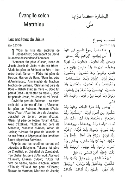 Bilingual Arabic/French New Testament