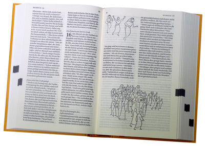 Illustrated multilingual New Testament