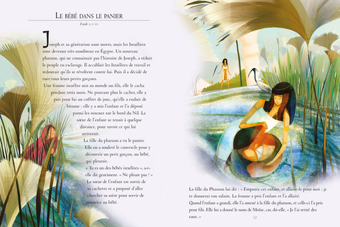 Les classiques de la Bible illustrés