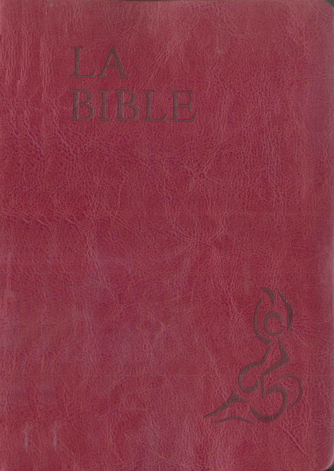 The Word of Life Bible - Red - Illustrated with deuterocanonicals